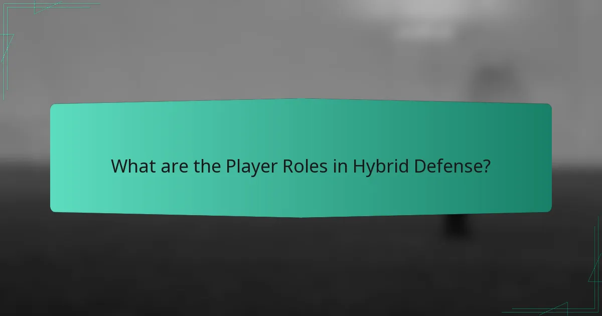 What are the Player Roles in Hybrid Defense?