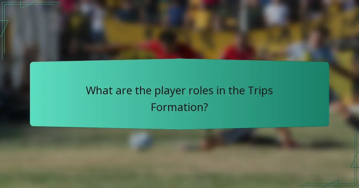 What are the player roles in the Trips Formation?